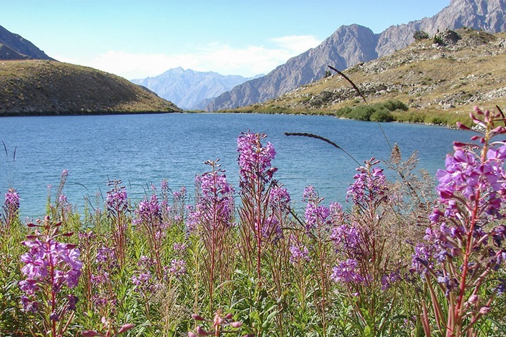 В Узбекистане объектами природного наследия стали три реки и море