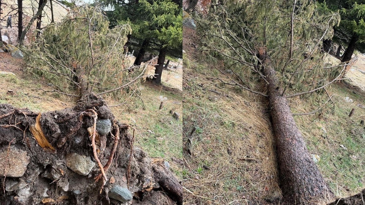 Ущерб природе от стройки малой ГЭС в Кыргызстане превысил 16 млн сомов